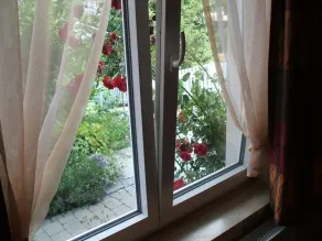Appartamento con giardino, barbecue e terrazza | Vista sulla montagna | Sono ammessi animali domestici - Vista dalla camera