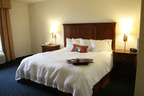 Hampton Inn Farmville, VA - Chambre