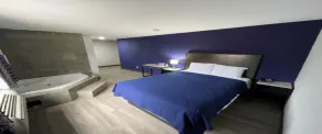 Blue Bird Inn - Chambre
