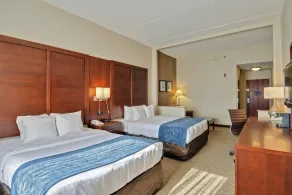 Comfort Suites Manassas Battlefield Park - Vue de la chambre