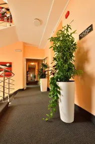 Hotel Orient Zagreb - Recepción