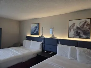 Hamilton Inn Birmingham-Bessemer - Chambre