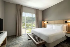 SpringHill Suites by Marriott Roanoke - Chambre