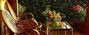 Thapovan Heritage Home - Terrasse/Patio