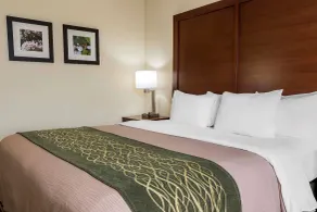 Comfort Inn - Pocono Mountains - Chambre