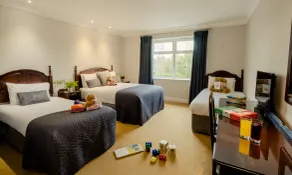 Twin Trees Hotel & Brusna Falls Leisure - Room