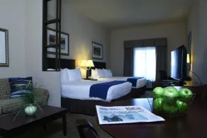 Holiday Inn Express Hotel & Suites Austell Powder Springs by IHG - Chambre