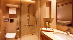 Lemon Tree Hotel Lucknow - Bathroom
