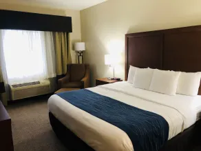 Comfort Inn Medford South - Chambre