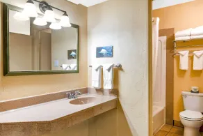 Econo Lodge Inn & Suites Durango - Salle de bain