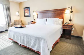 Hampton Inn & Suites Pinedale - Habitación
