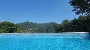 Blossom Pension - Pool