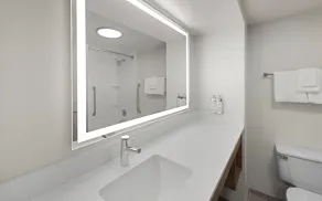 Holiday Inn Express Greenville by IHG - Salle de bain