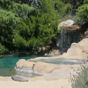 Bella Vista Bed and Breakfast - Pool