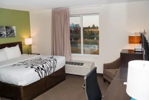 Sleep Inn at Discovery Park of America - Chambre
