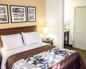 Sleep Inn Tinley Park I-80 near Amphitheatre-Convention Center - Chambre