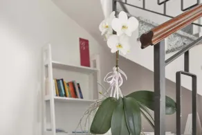 Bella Villa Apartments - Reception