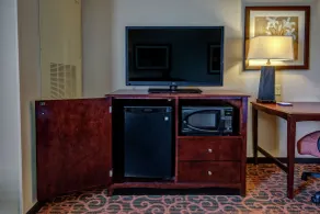 Hampton Inn Suites Minneapolis St Paul Arpt-Mall of America - Room