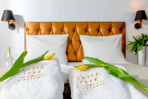 Amber Park Spa - Room