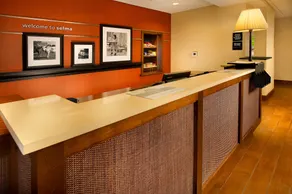 Hampton Inn & Suites Selma-San Antonio-Randolph AFB Texas - Réception