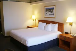 Country Inn & Suites by Radisson, Lansing, MI - Chambre