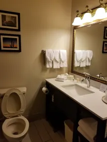 Comfort Suites McAllen Airport and La Plaza Mall - Salle de bain