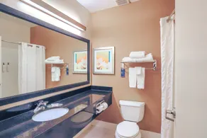 Comfort Inn & Suites Houston North - Spring - Salle de bain