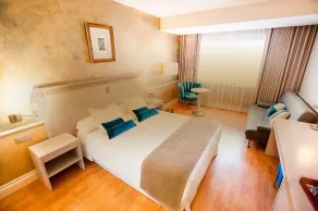 Hotel Alfonso VIII - Chambre