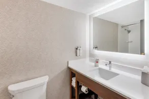 Holiday Inn Express Chicago-Downers Grove by IHG - Chambre