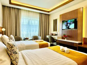 Fortune Plaza Hotel, Dubai Airport - Chambre