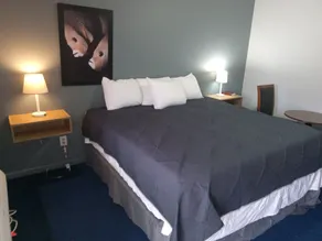 Western Hills Motel - Room