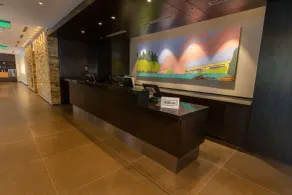 Hilton Garden Inn Neuquen - Reception