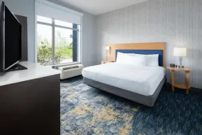 Home2 Suites by Hilton Greenville Downtown - Habitación