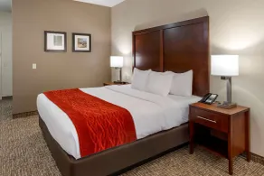 Comfort Inn & Suites Canton Riverstone Area - Chambre