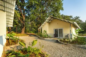 Dandeli Serene Jungle Resort - Terraza o patio