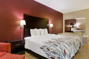 Red Roof Inn South Bend - Mishawaka - Room