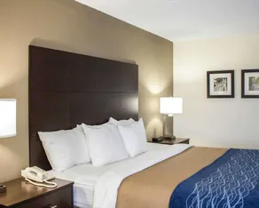 Comfort Inn & Suites Fuquay Varina - Chambre