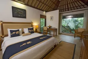 Mason Elephant Lodge - View from room