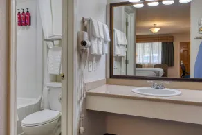 SureStay Hotel by Best Western Leesville - Badezimmer