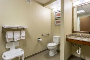 Comfort Inn Brownsville I-40 - Bathroom