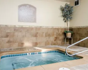 Quality Inn & Suites Twin Falls North - Piscine