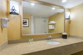 Holiday Inn Baltimore BWI Airport by IHG - Baño