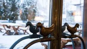 Entenwirt Seeham - Utsikt fra rommet