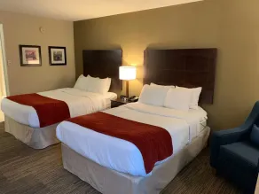 Comfort Inn & Suites East Hartford - Hartford - Room