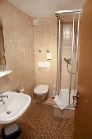 Landhotel Traube - Baño