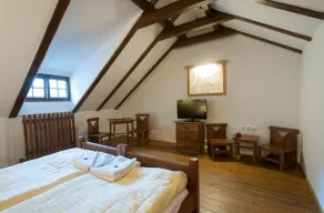 Hotel U Malého Vitka - Chambre