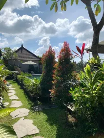 Paraiso Cottage Ubud - Pool