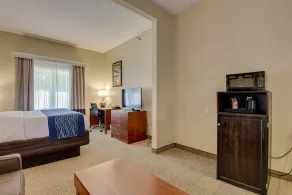 Comfort Inn & Suites Augusta Fort Gordon Area - Chambre