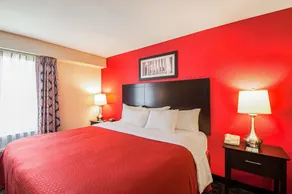 Quality Inn near Potomac Mills - Chambre