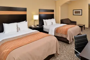 Comfort Inn & Suites at Stone Mountain - Chambre